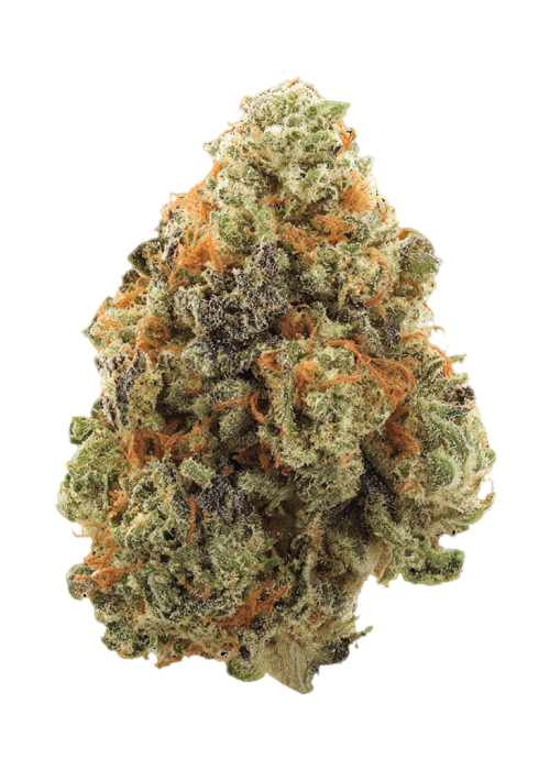 Apple Sherbet