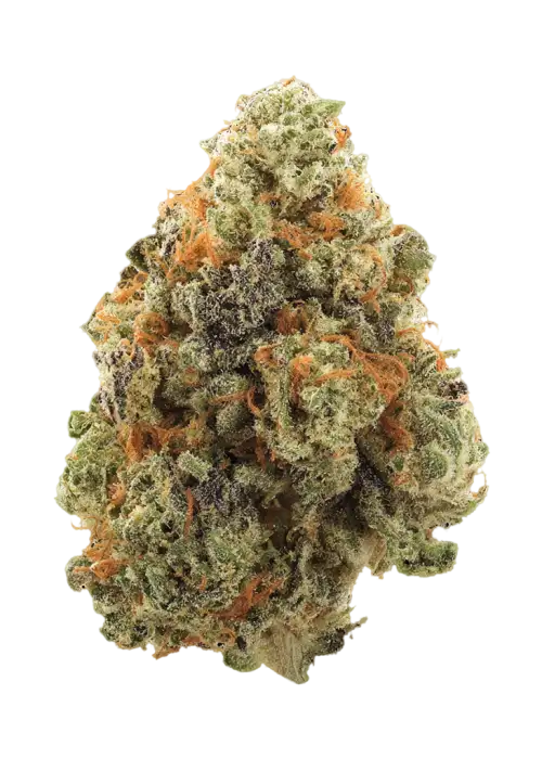 Apple Sherbet