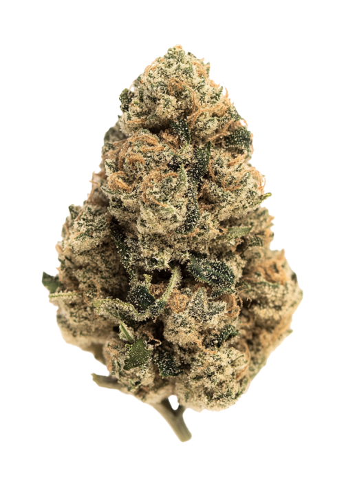 Cali Kush
