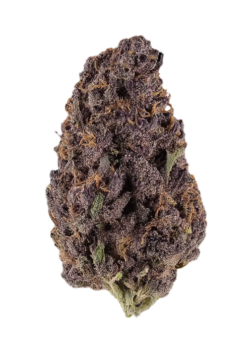 Purple Tangie