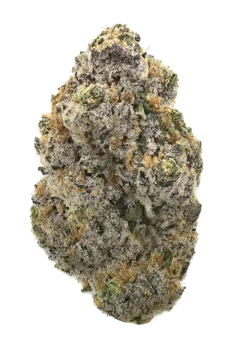 Purple Sour Diesel