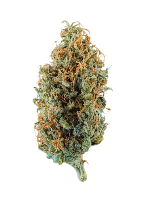 Dutch Hawaiian
