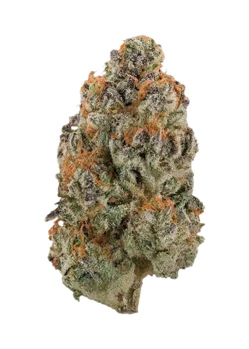 Cherry Lime Runtz