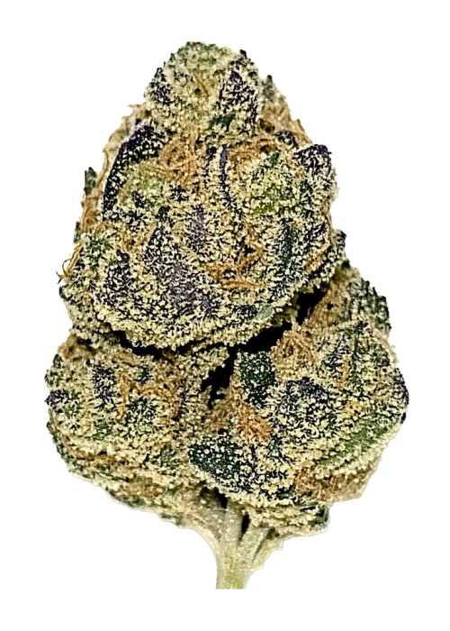 Divine Banana