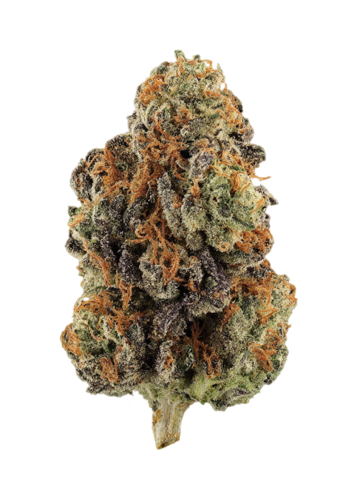 Apple Sundae