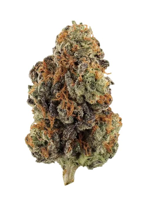 Apple Sundae