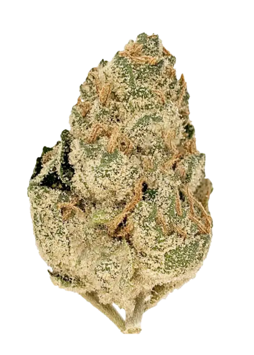 Space Monkey