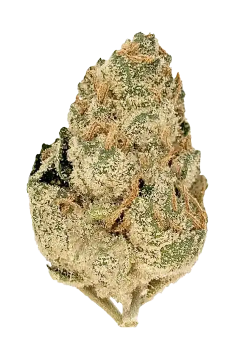 Space Monkey
