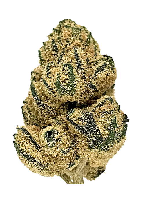 Citrus Punch
