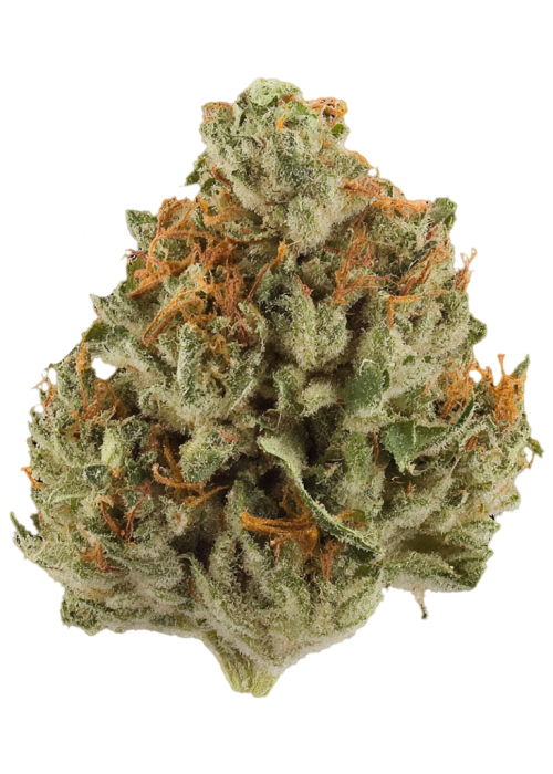 707 Headband