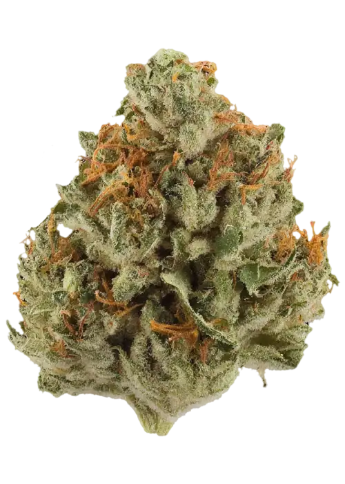 707 Headband