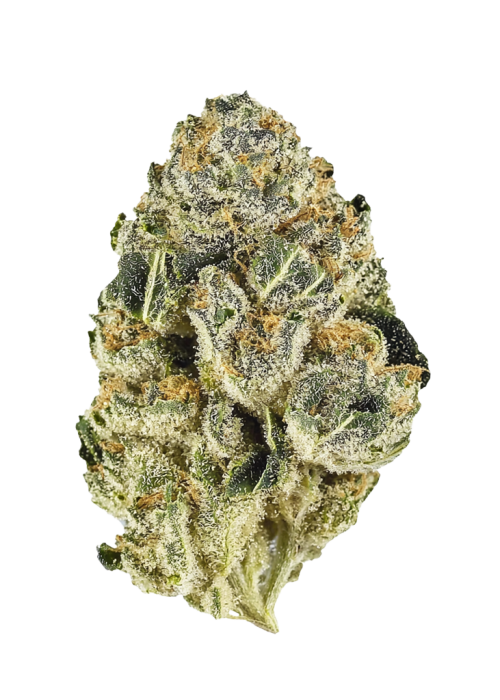 Headband