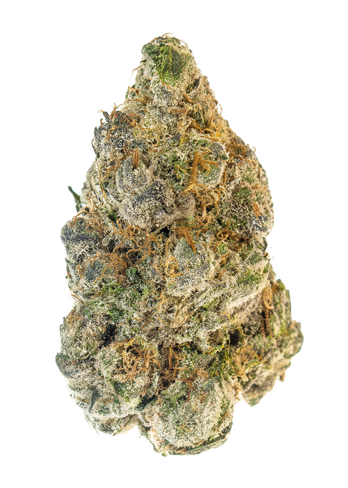 Malawi