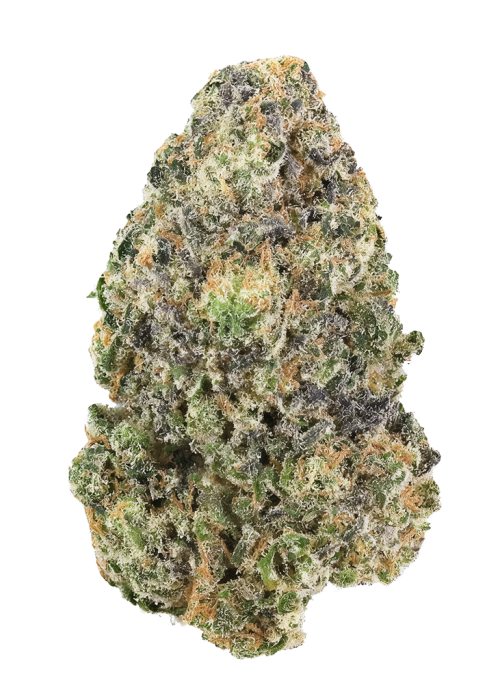Orange Diesel