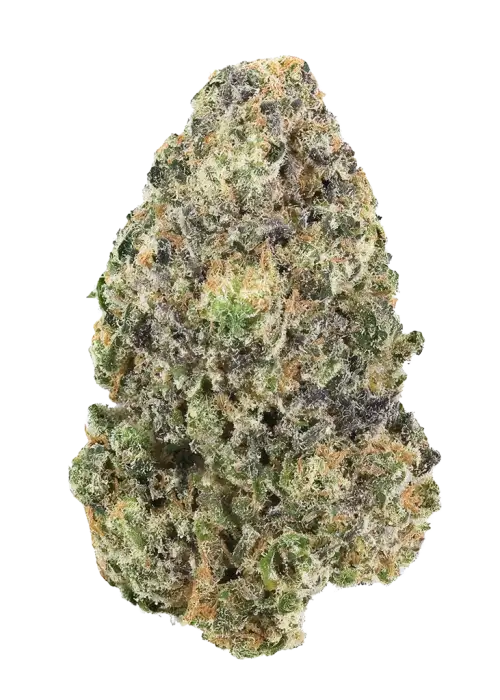 Orange Diesel