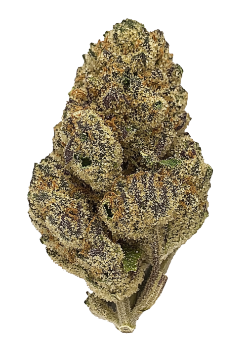 Blueberry Clementine
