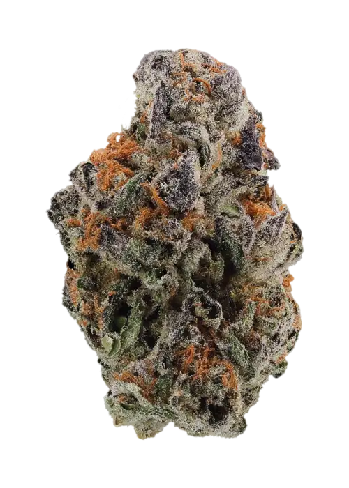 Otter Popz