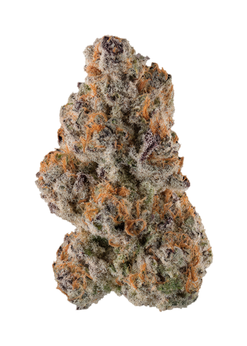 Mac 3