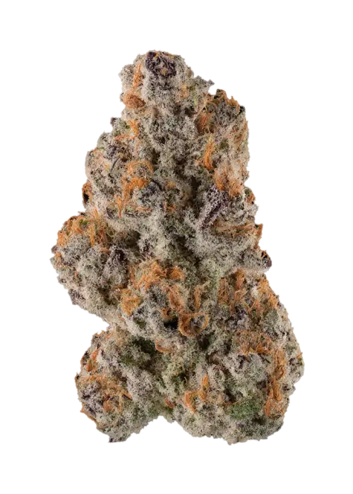 Mac 3