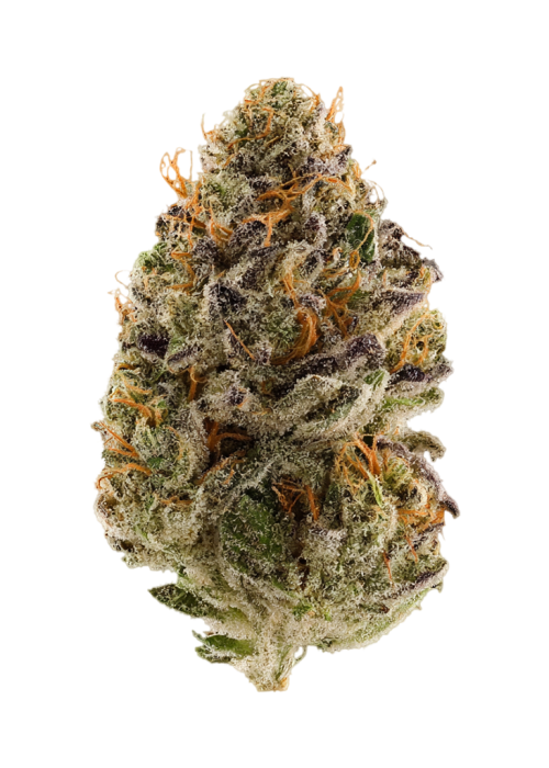 Pink Berry