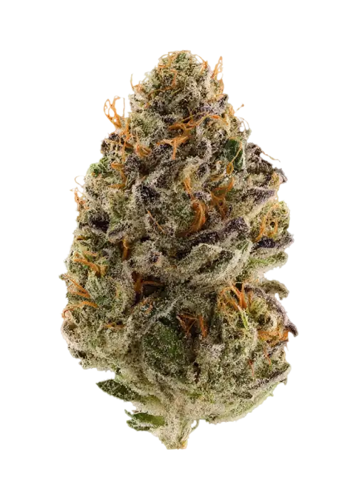 Pink Berry
