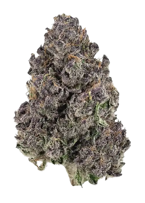 Honeycomb