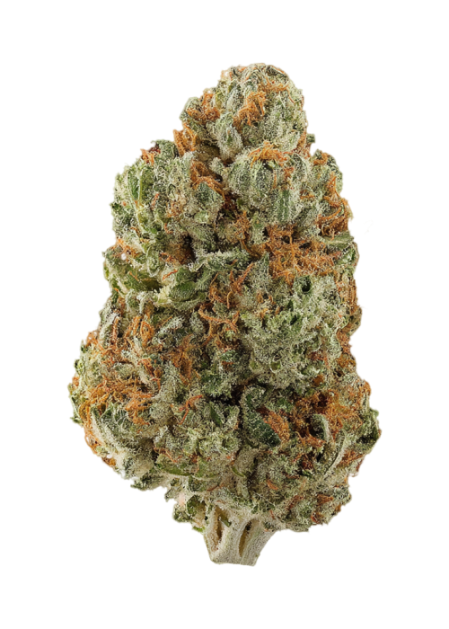Red Cherry Berry