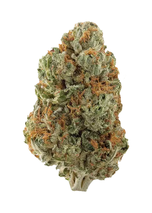 Red Cherry Berry