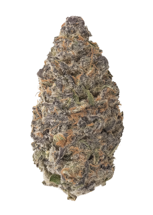 Big Sur Holy Weed