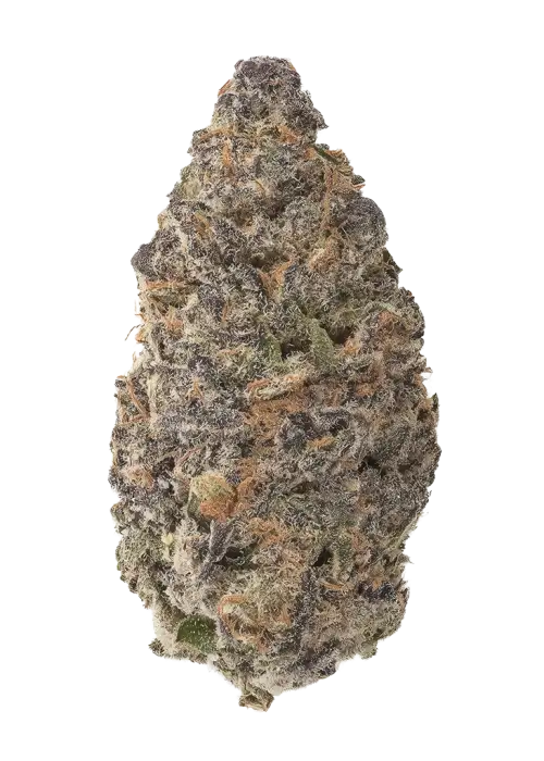 Big Sur Holy Weed