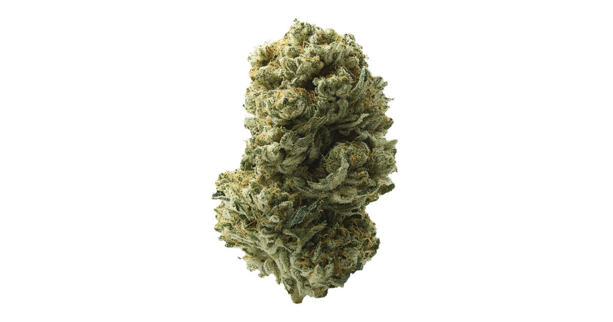 Cactus Cooler Cannabis Strain Information - GrowDiaries