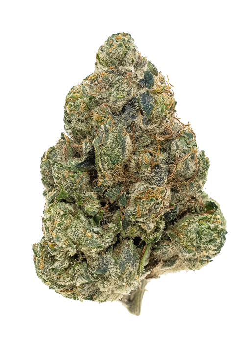 White OG