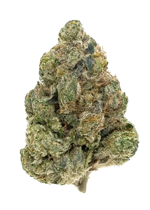 White OG