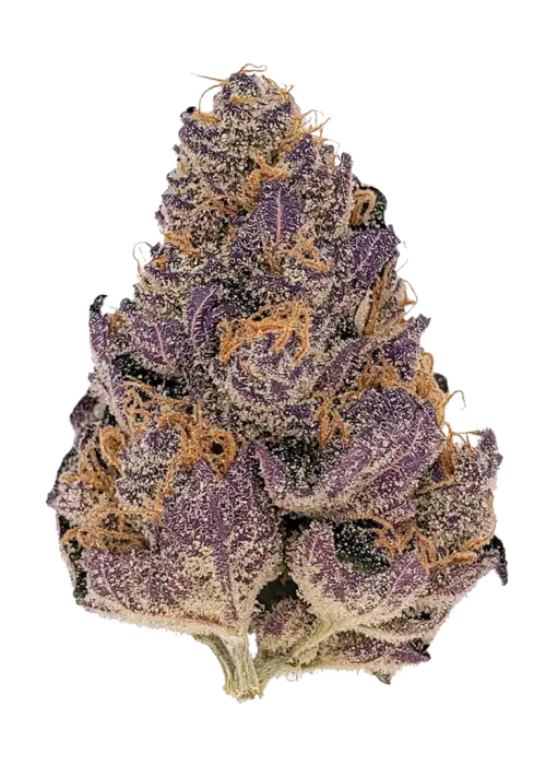 Grape Cookies