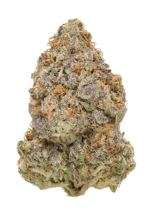 Chocolate OG