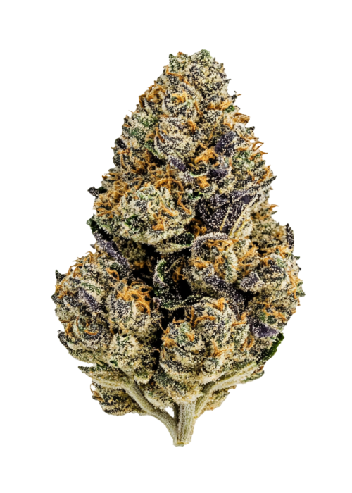 Tropicana Punch