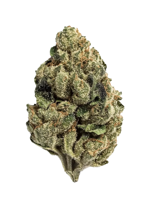 Truffle