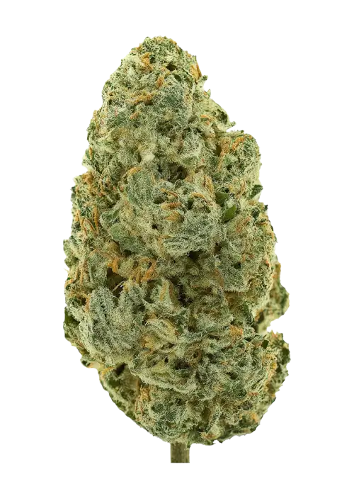 Sage and Sour