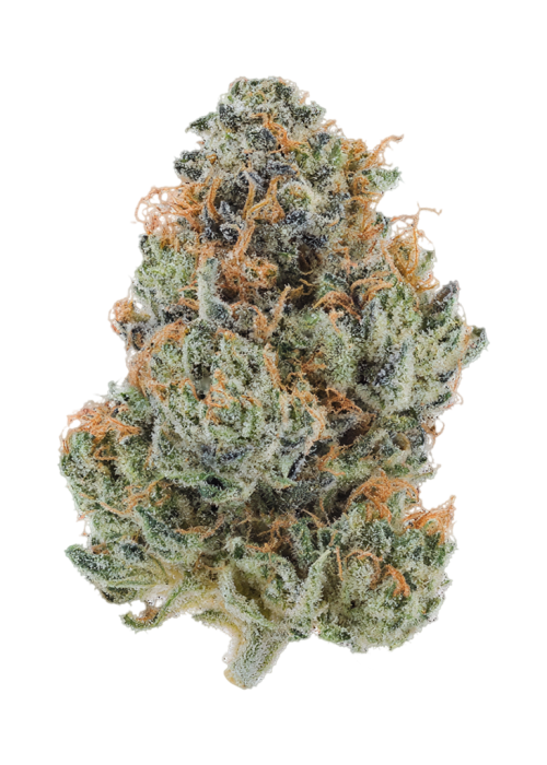 Blue Ice