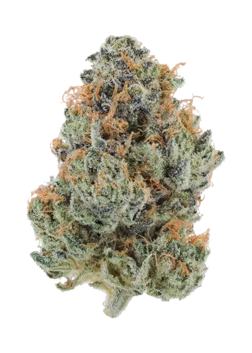 Blue Ice