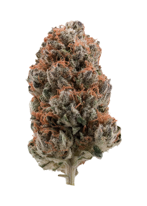 Black Russian