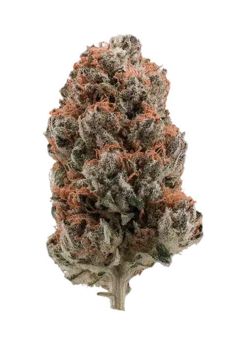 Black Russian