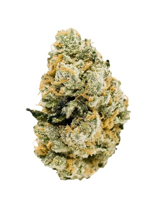 Jet Fuel Gelato