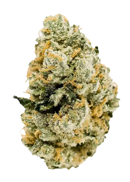 Jet Fuel Gelato