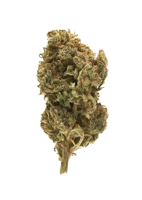 Wild Cherry