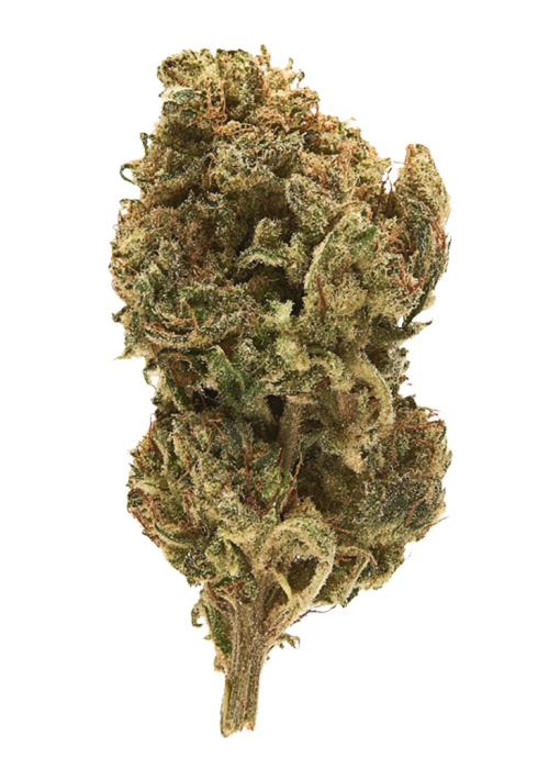Wild Cherry
