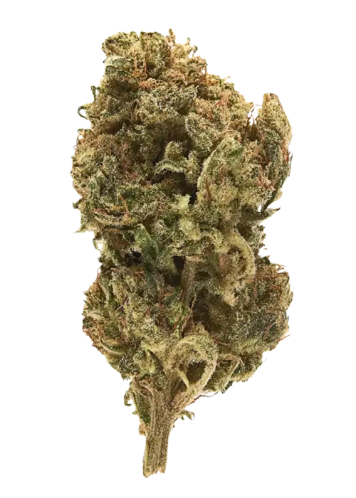 Wild Cherry