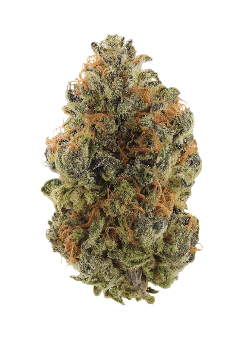 Lime Haze