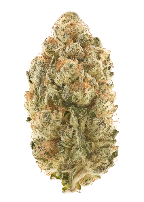 Cheese and Chong