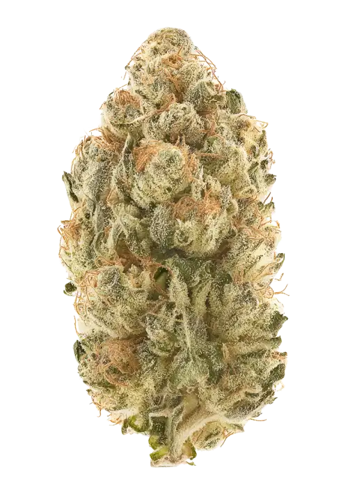 Cheese and Chong